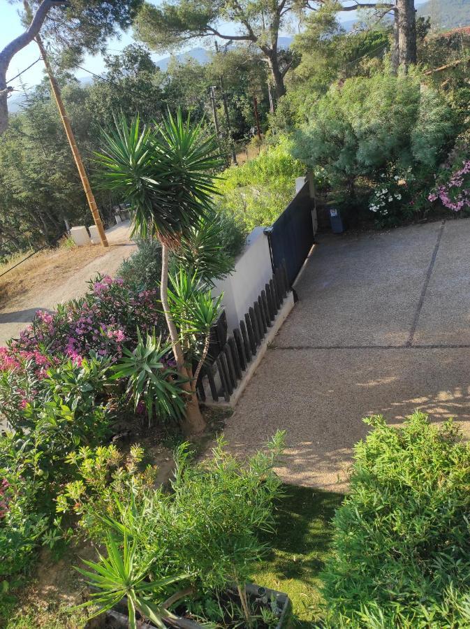 Studio Villa Le M Six-Fours-les-Plages Exterior foto