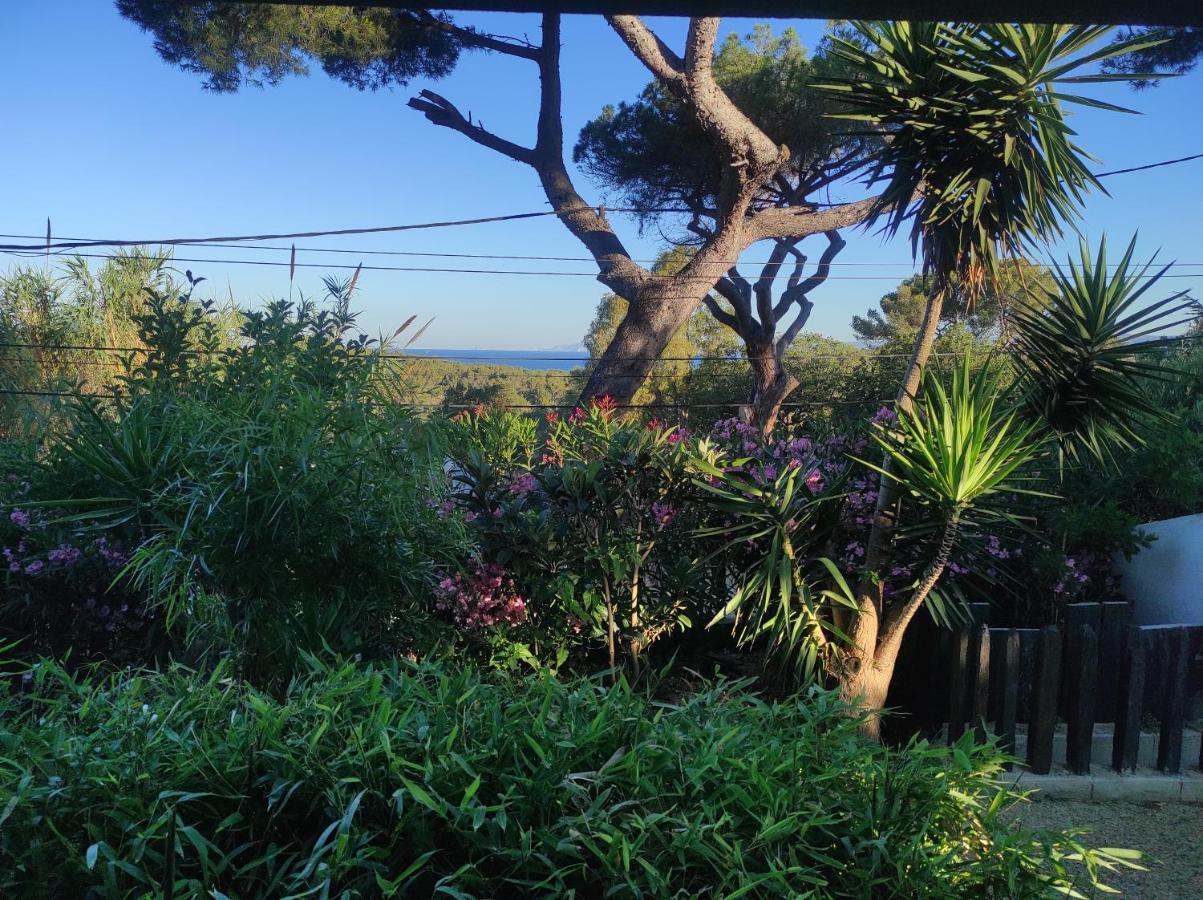 Studio Villa Le M Six-Fours-les-Plages Exterior foto